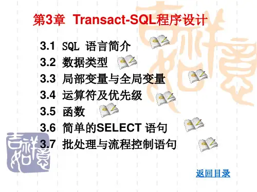 SQL  Transact-SQL 语言