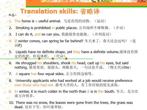 翻译技巧
