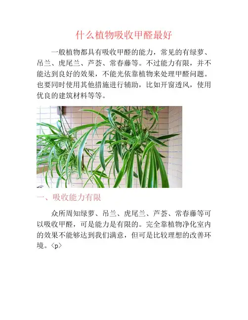 什么植物吸收甲醛最好