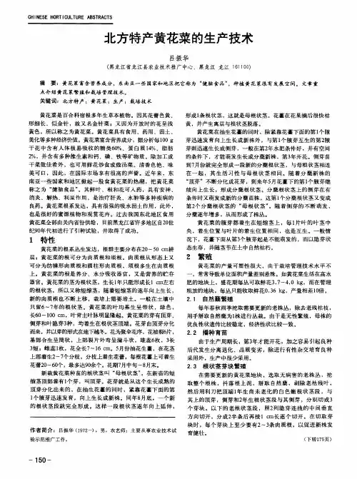 北方特产黄花菜的生产技术