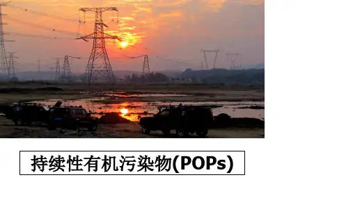 最新持续性有机污染物(POPs)
