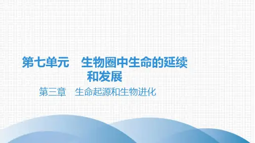 最新人教版中考生物复习知识点梳理 第七单元 生物圈中生命的延续和发展 第三章生命起源和生物进化