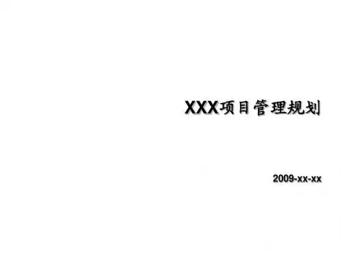XXX项目管理模板