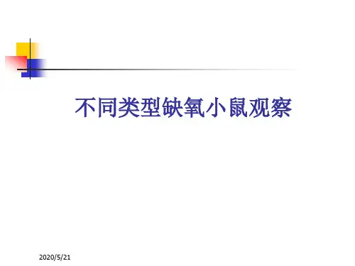 不同类型缺氧小鼠观察.