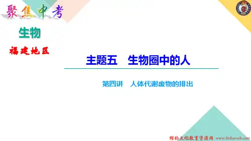 中考生物第四讲 人体代谢废物的排出