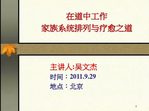 家族排列疗愈的力量~~简体版..