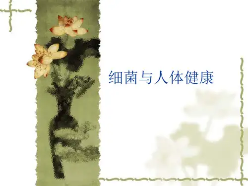 细菌与人体精品PPT课件