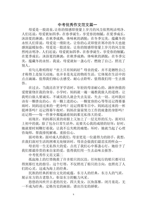 中考优秀作文：点亮心灵的灯