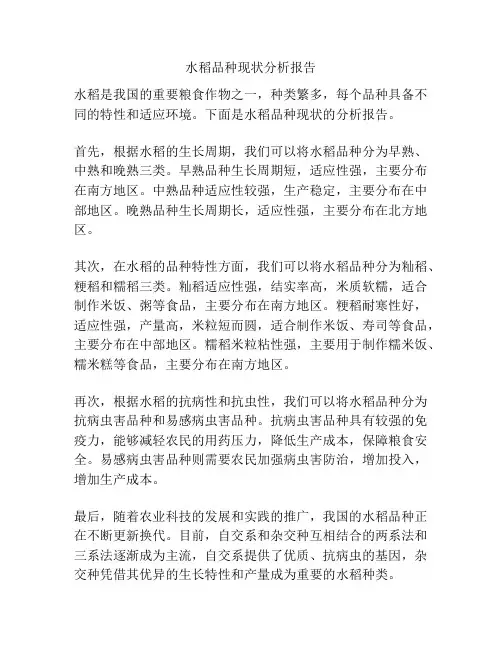 水稻品种现状分析报告