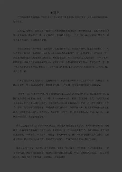 淡淡的茉莉花