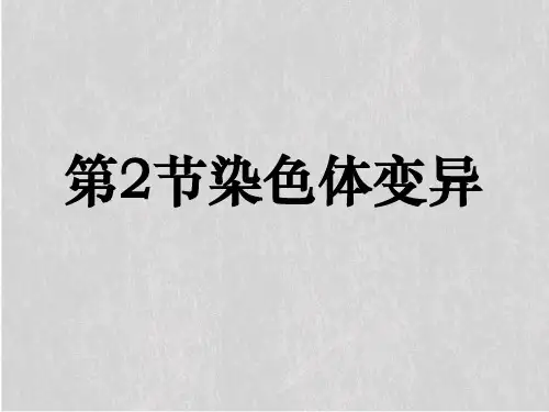 人教版高中生物必修二第5章第2节 染色体变异  课件(共40张PPT)