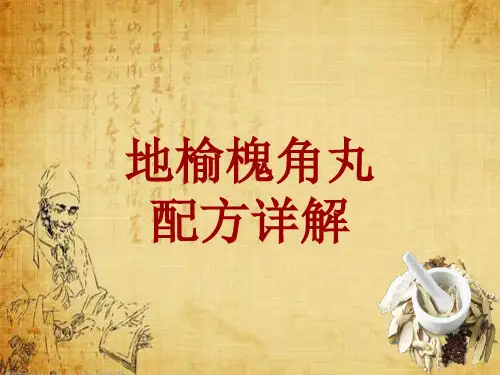 中成药配方详解:地榆槐角丸