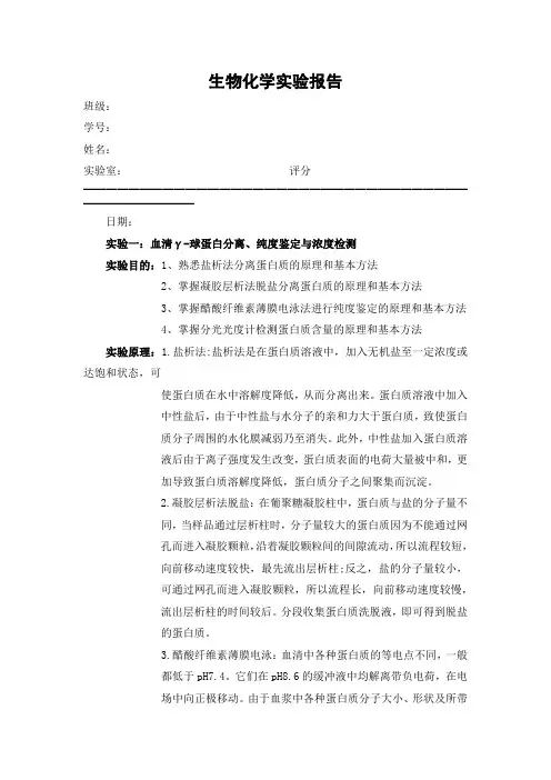 血清γ-球蛋白分离、纯度鉴定与浓度检测