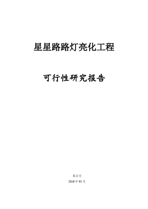 路灯亮化工程项目可行性研究报告