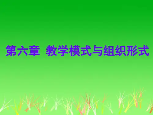 教学模式与组织形式
