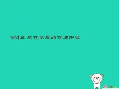 高中生物第4章遗传信息的传递规律本章整合课件北师大