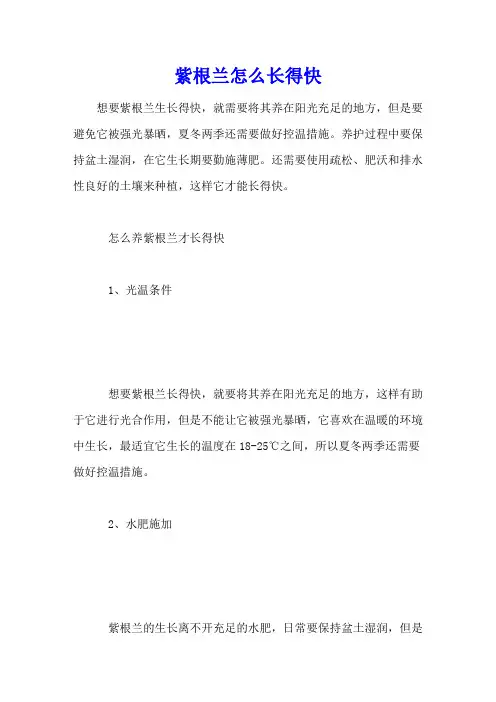 紫根兰怎么长得快