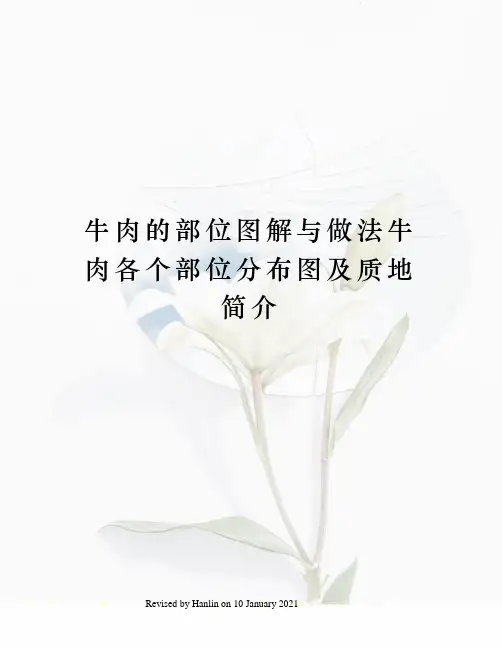 牛肉的部位图解与做法牛肉各个部位分布图及质地简介