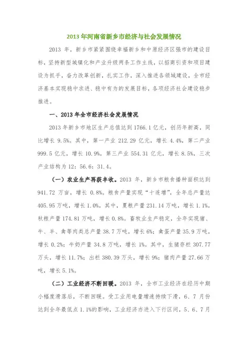 2013年河南省新乡市经济与社会发展情况