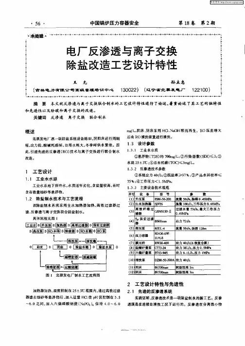 电厂反渗透与离子交换除盐改造工艺设计特性