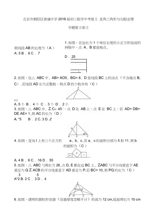 北京市朝阳区普通中学2018届初三数学中考复习直角三角形与勾股定理专题复习练习含答案