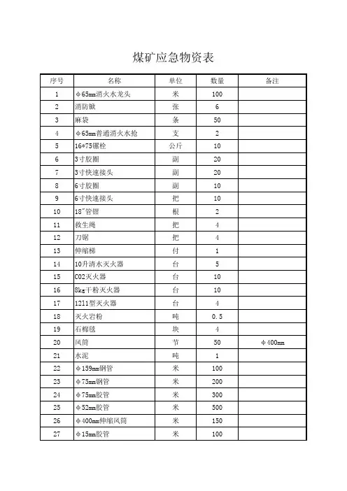 煤矿应急物资表