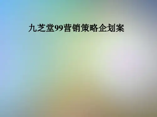 九芝堂99营销策略企划案