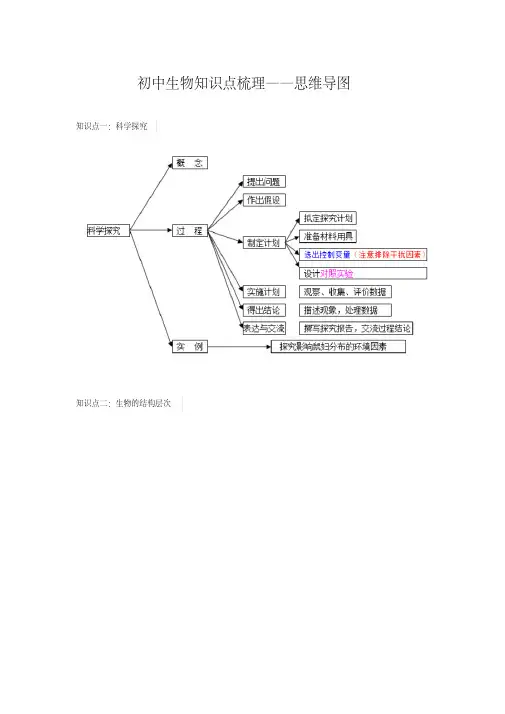 最新初中生物知识点梳理思维导图