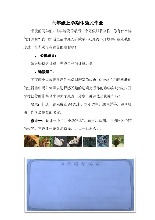 六年级班寒假数学体验式作业