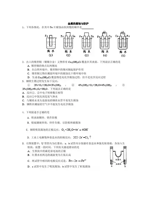 金属的腐蚀与防护