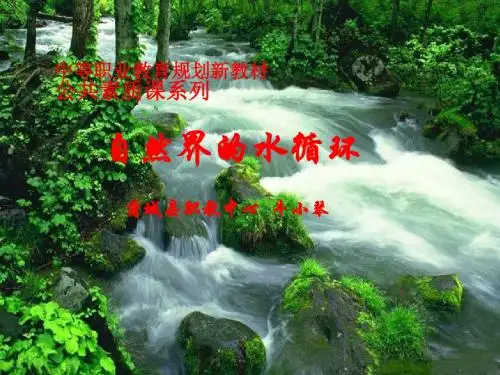 自然界的水循环说课稿2