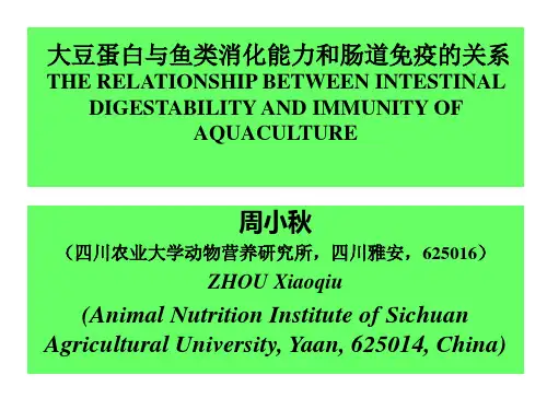 大豆蛋白与鱼类消化能力和肠道免疫的关系