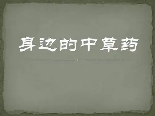身边的中草药精品PPT课件