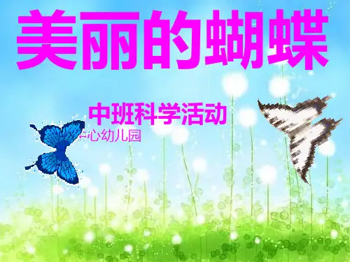 中班科学活动:《美丽的蝴蝶》精品课件