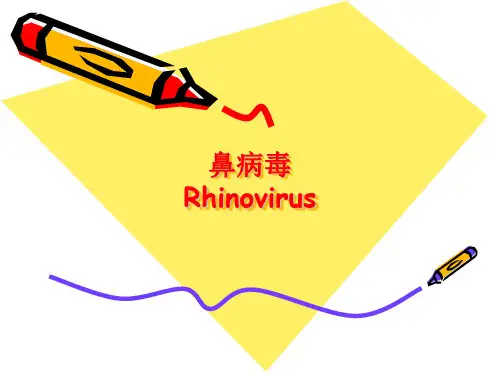 鼻病毒