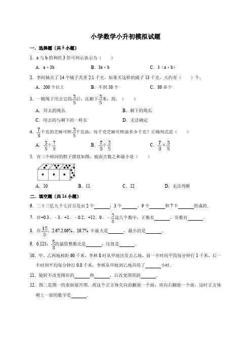小学数学小升初模拟试题(解析版)