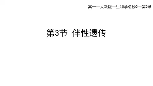 人教版高中生物必修第2册 第2章 第3节 伴性遗传