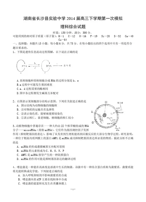 湖南省长沙县实验中学2014届高三下学期第一次模拟理科综合试卷及答案
