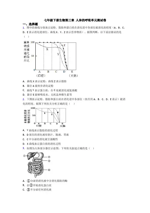 七年级下册生物第三章 人体的呼吸单元测试卷