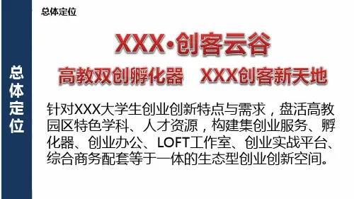 XX市高教产业园创业园核心项目策划方案