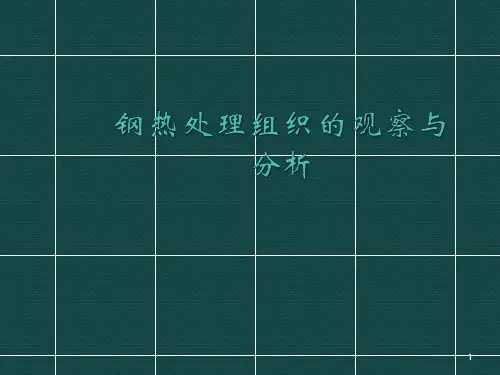 钢的热处理组织观察与分析ppt课件