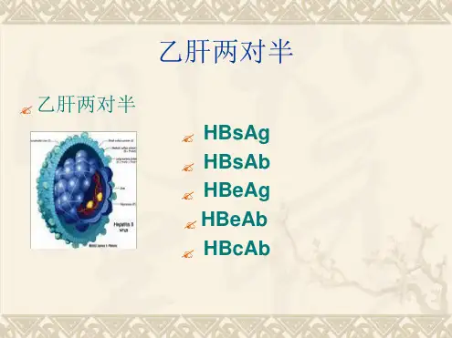 乙肝五项详解ppt课件
