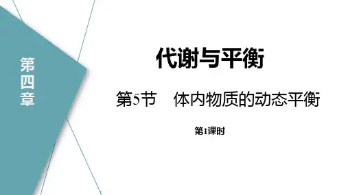 浙教版九年级科学上册《体内物质的动态平衡》PPT课件