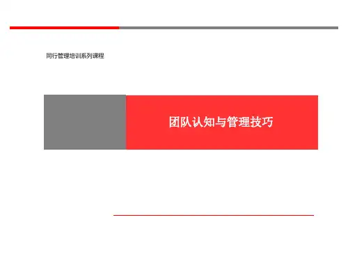 团队认知和管理技巧