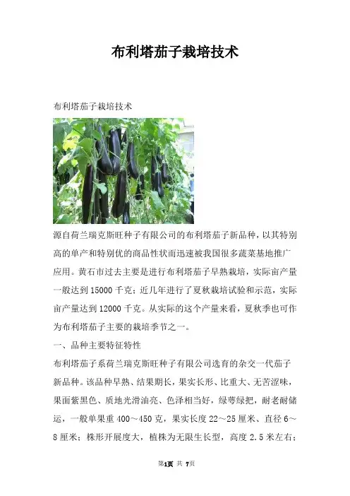 布利塔茄子栽培技术