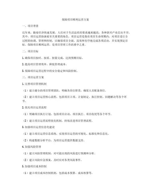 保障项目顺利运营方案