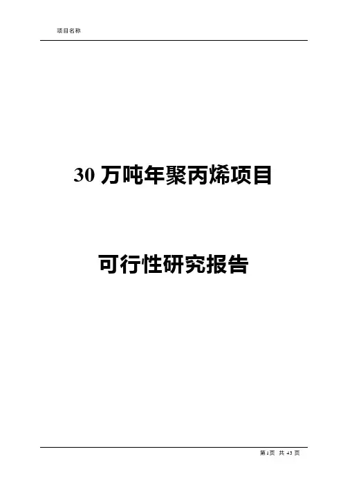 30万吨年聚丙烯项目可研报告