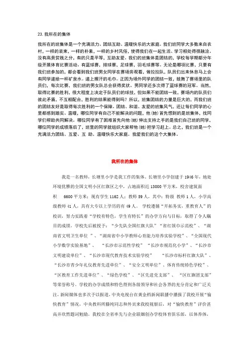 23. 普通话 我所在的集体
