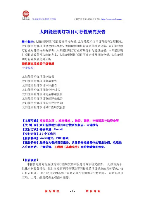 太阳能照明灯项目可行性研究报告