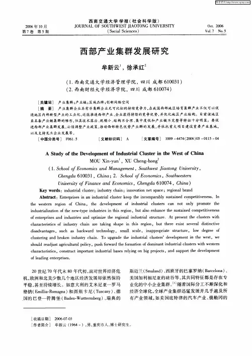 西部产业集群发展研究